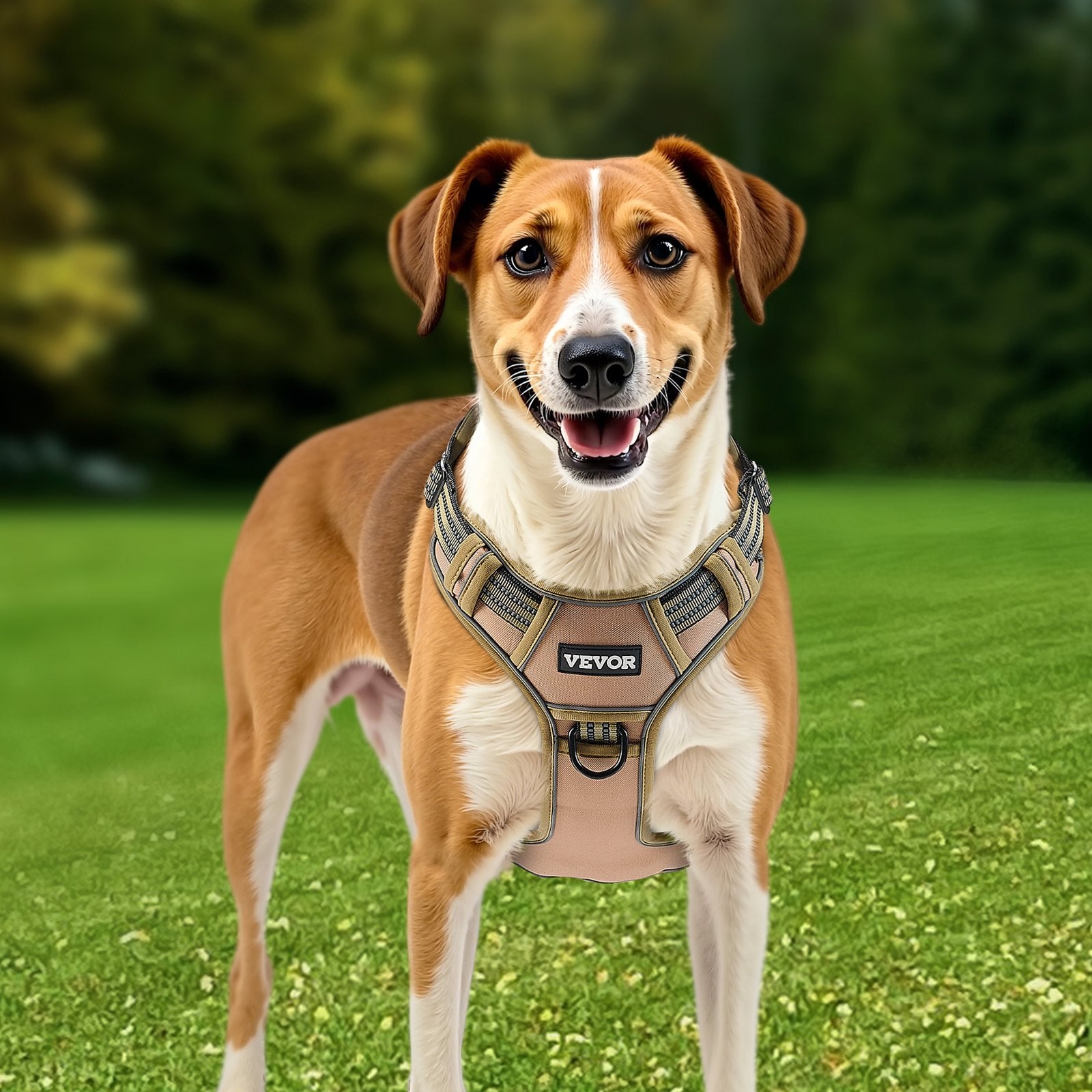 Dog Harness Adjustable for Medium and Large dogs
