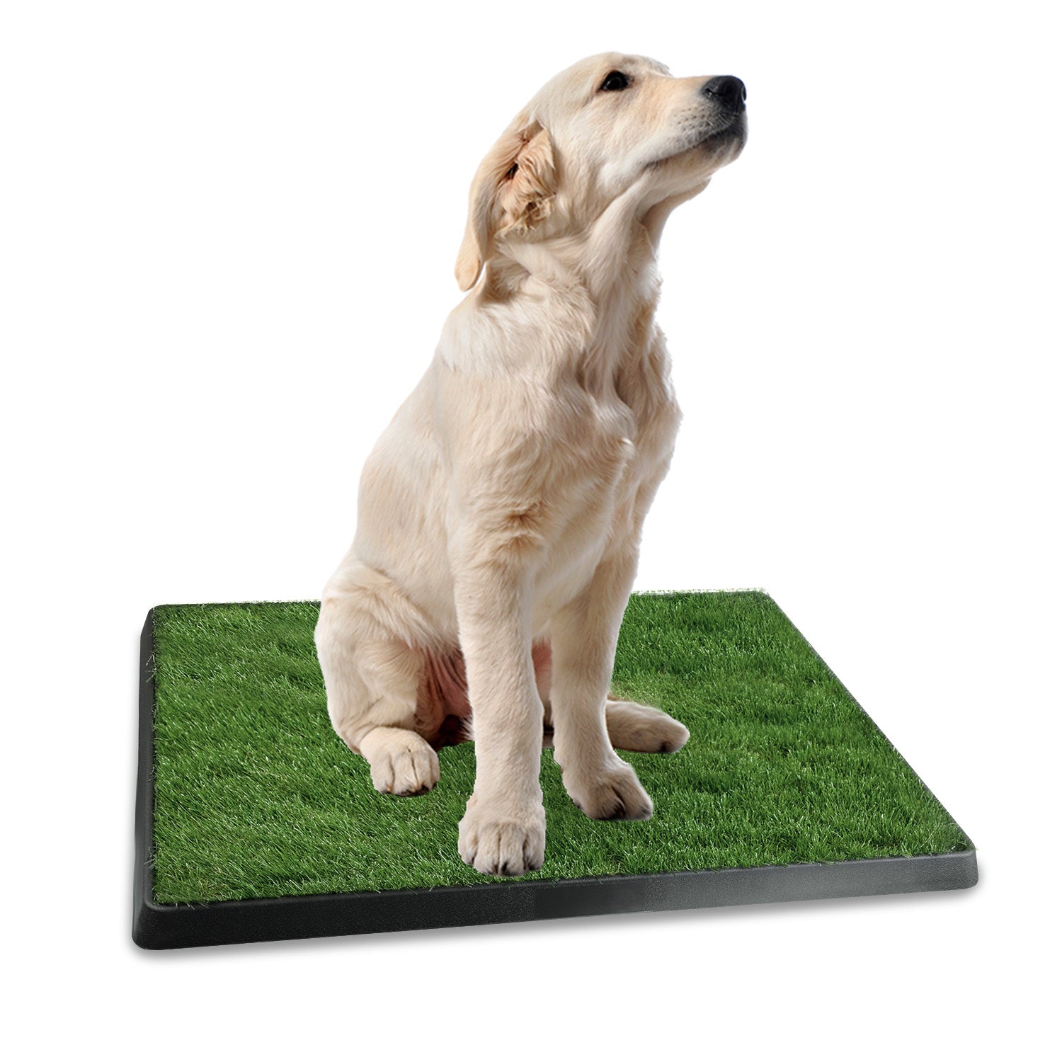 Dog Potty Training Artificial Grass Pad