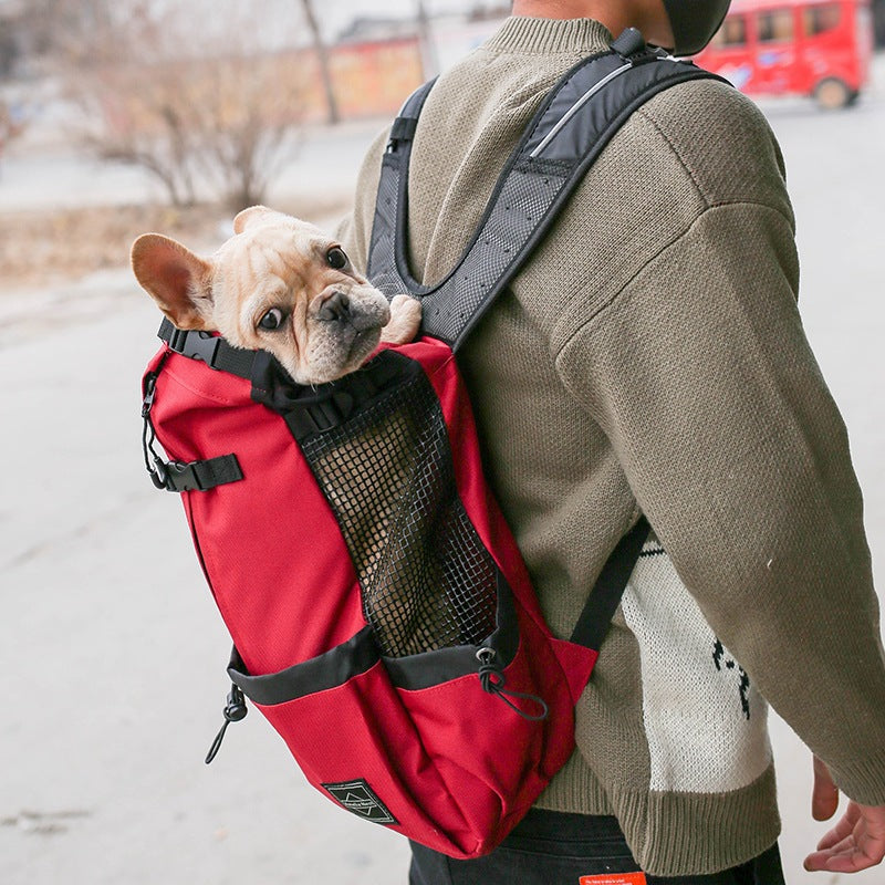 Pet Carrier/ Backpack Double Shoulder
