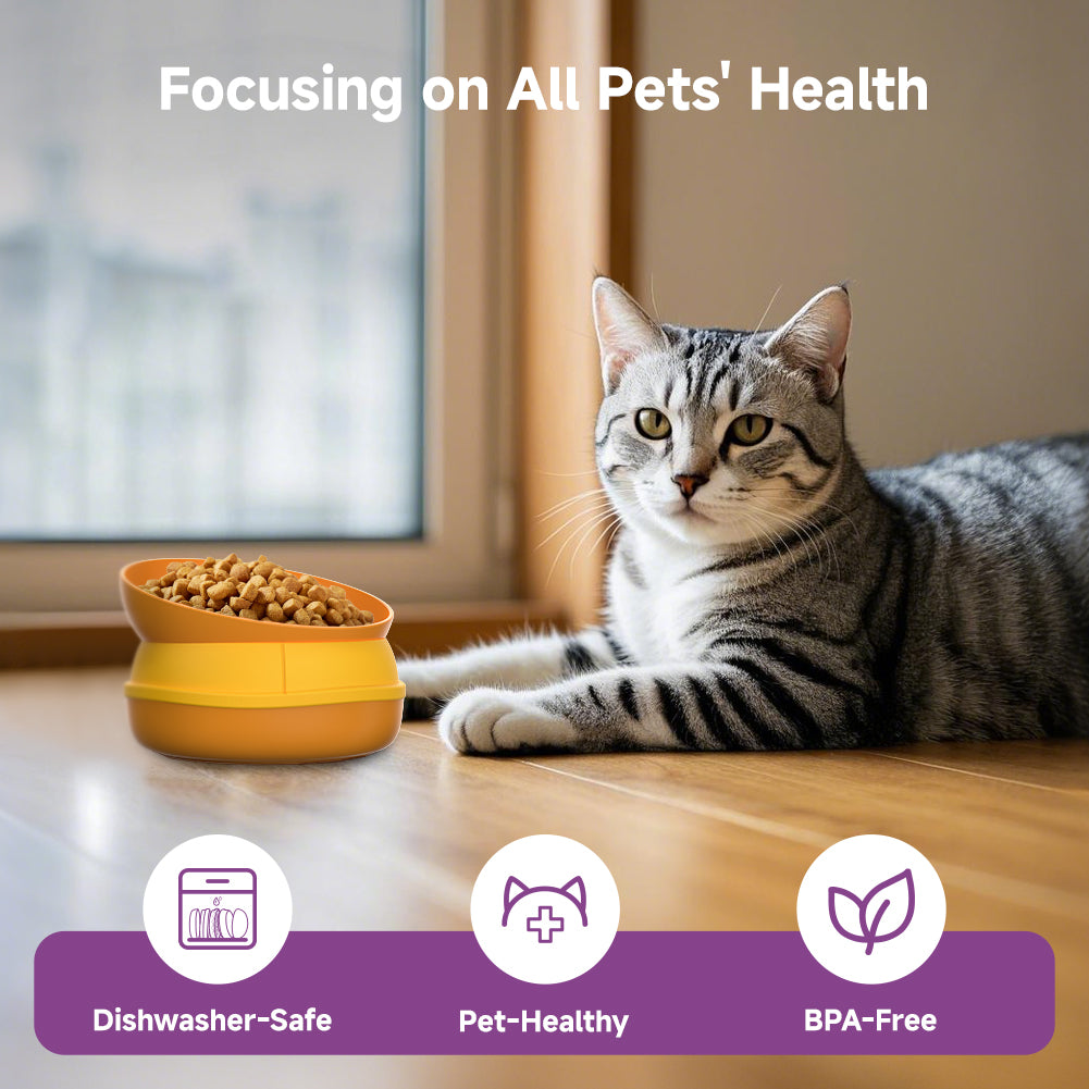 Hamburger Pet Bowl Combination Multi-layer Five-in-one