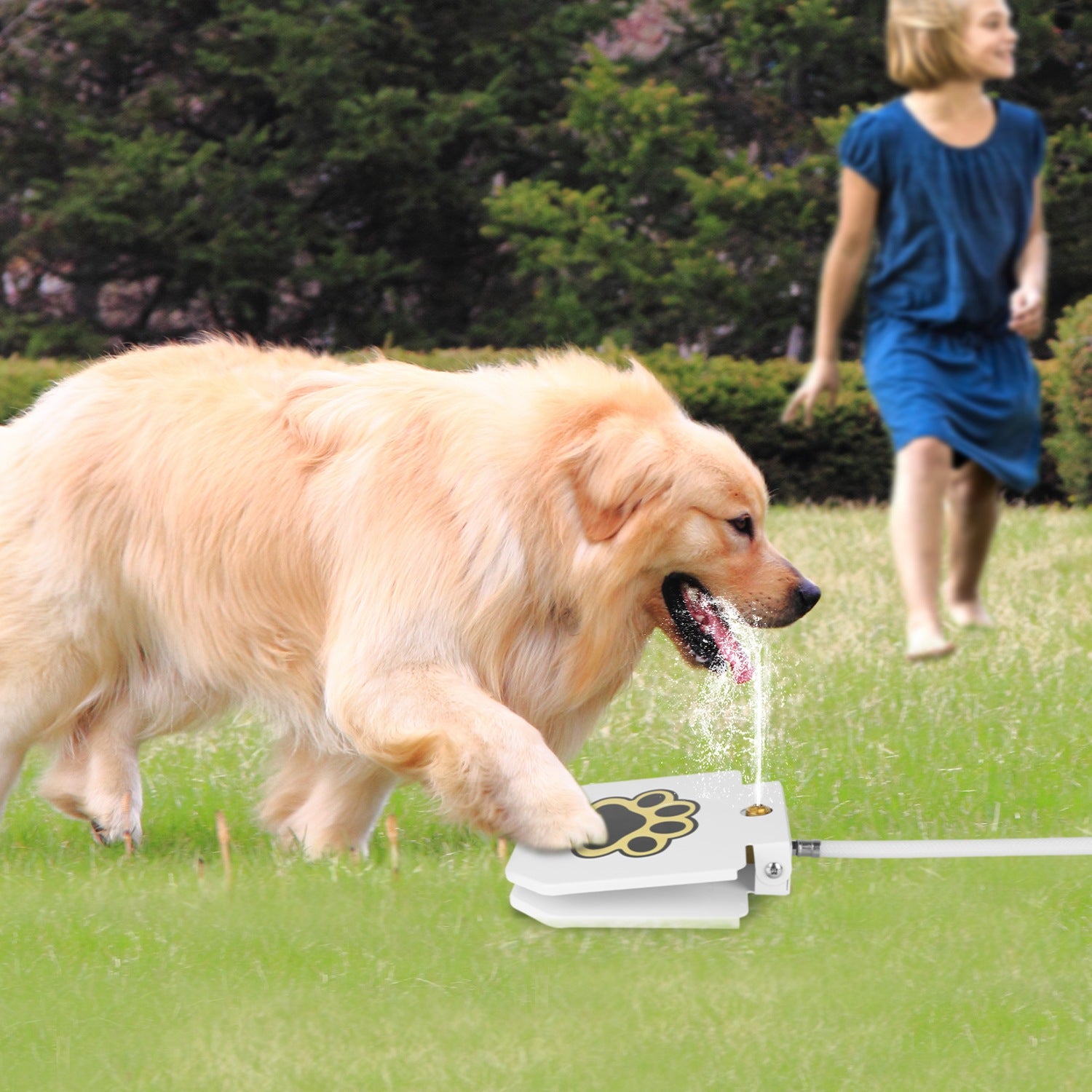 Outdoor Water Dispenser Step-on Activated Sprinkler With Interactive Paw Pedal