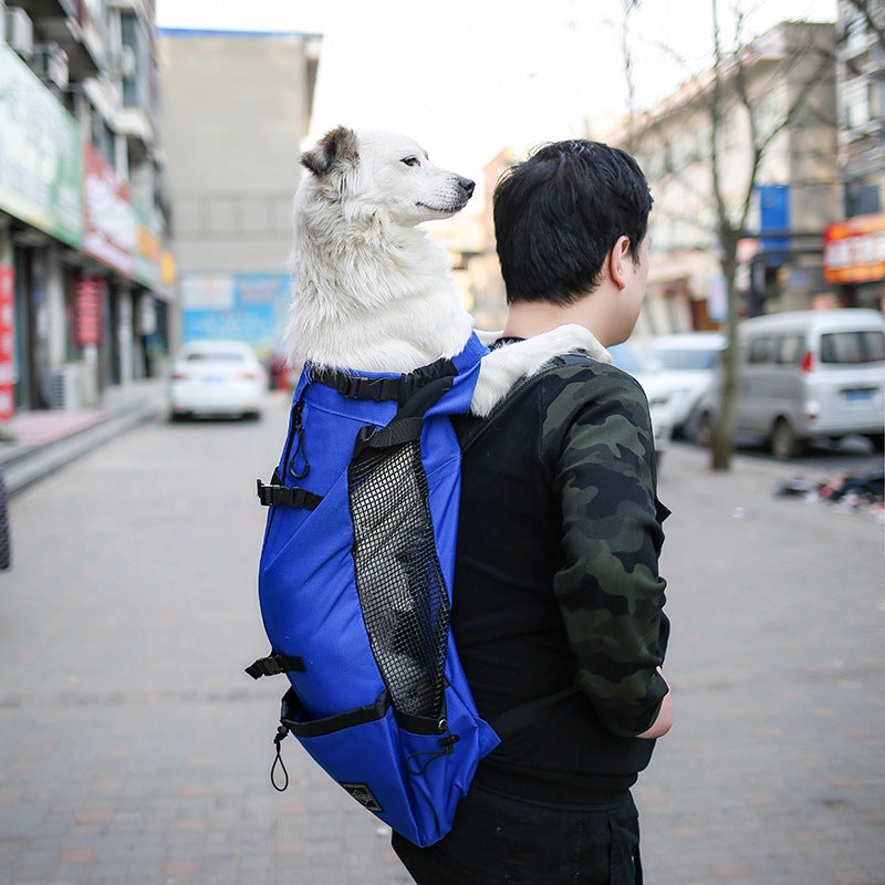 Pet Carrier/ Backpack Double Shoulder