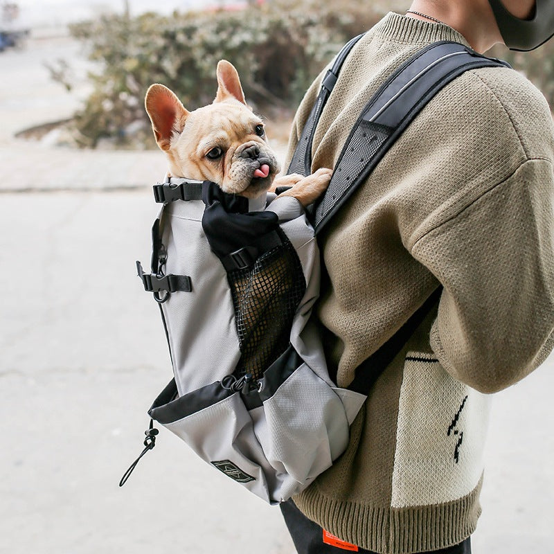 Pet Carrier/ Backpack Double Shoulder