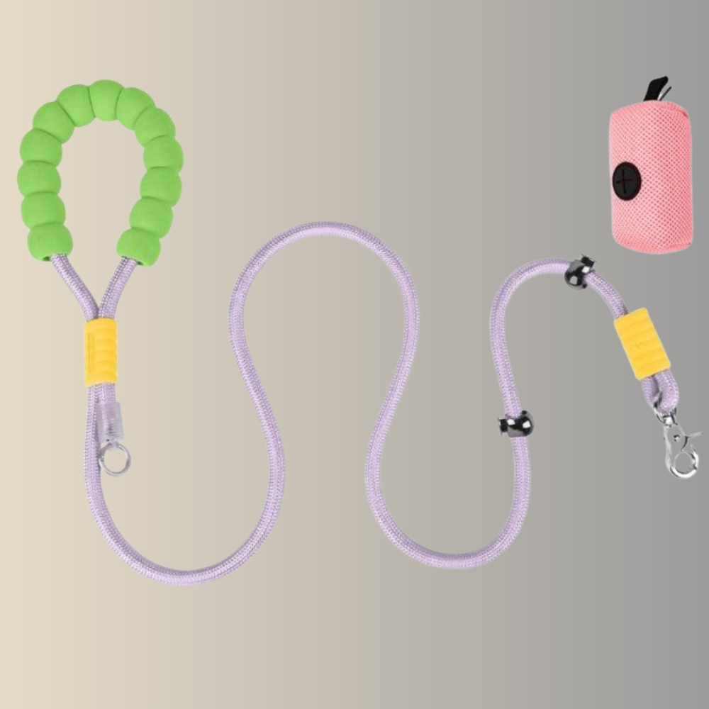 Dog Leash For Small And Medium-sized Dogs