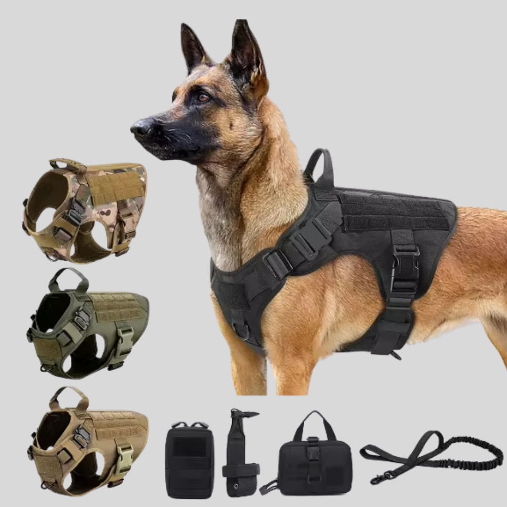 Pet Harness and Leash Set