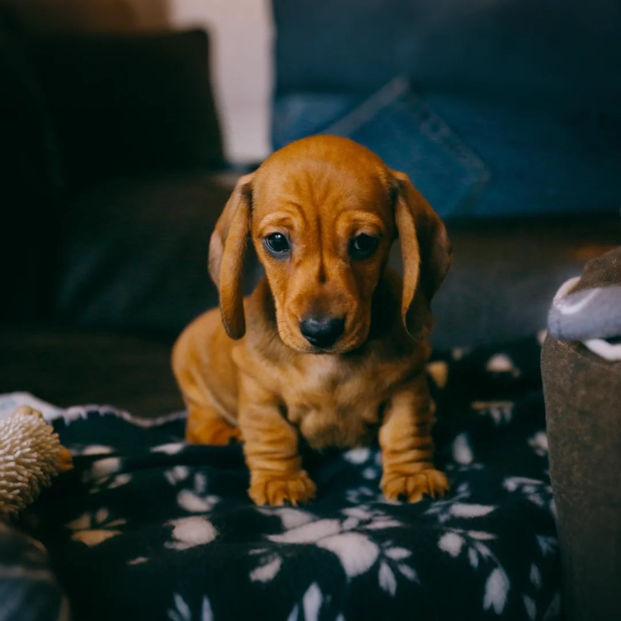 slider image slider_item_Ye3eb6