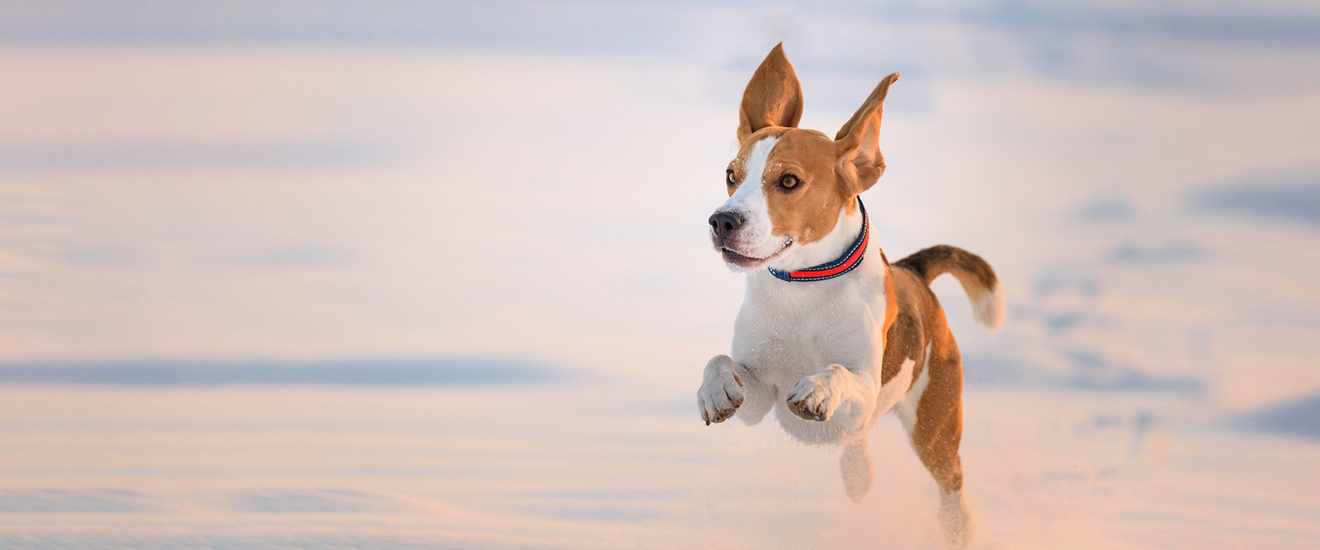 slider image slider_item_yaWA8M